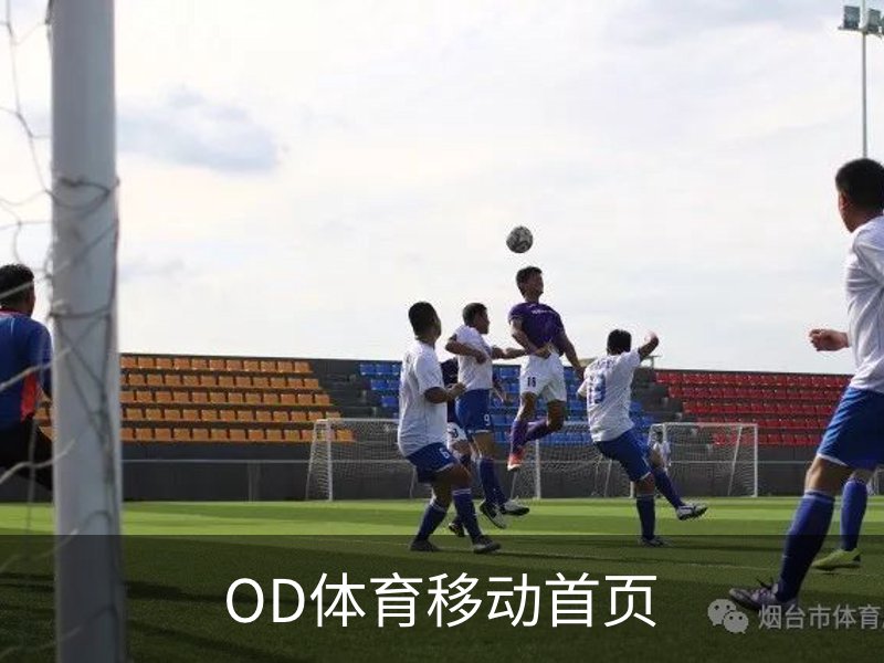 关于OD体育移动首页